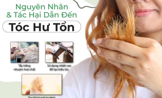 Nguyên Nhân & Tác Hại Dẫn Đến Tóc Hư ổn.