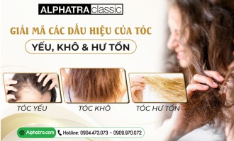 GIẢI MÃ CÁC DẤU HIỆU CỦA TÓC YẾU, KHÔ VÀ HƯ TỔN