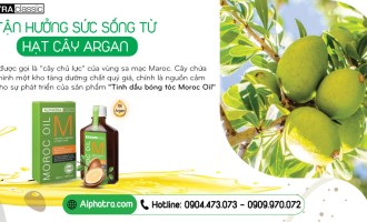 Tận Hưởng Sức Sống Từ Hạt Cây Argan