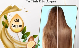 Bí Quyết Giúp Tóc Chống Xơ Rối Và Chẻ Ngọn Bằng Tinh Dầu Argan